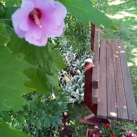 Andjela Appartamento Budua