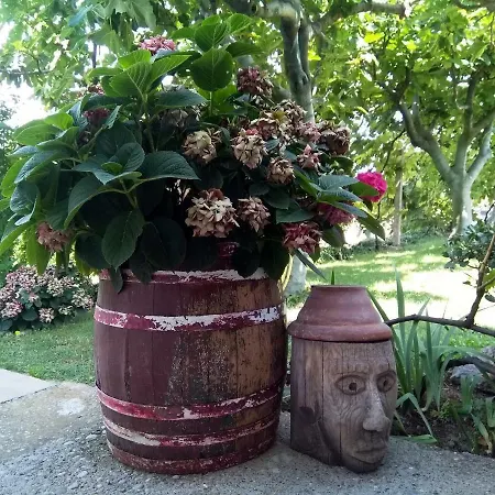 Appartamento Andjela Budua