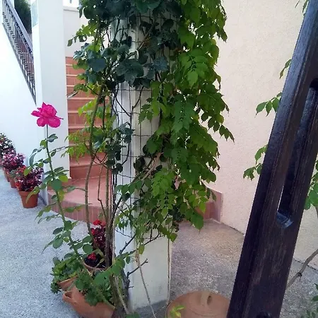 Andjela Budua