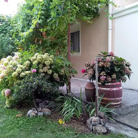 Andjela Budua