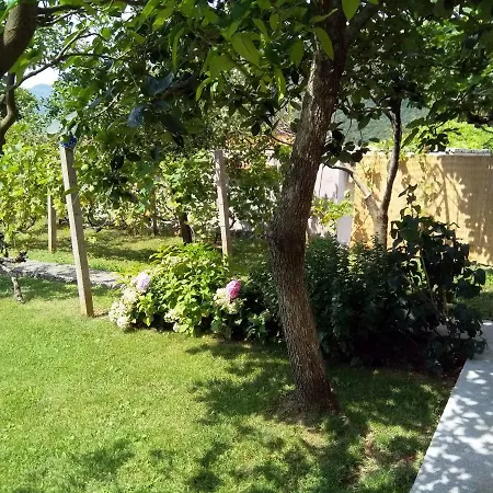 Appartamento Andjela *