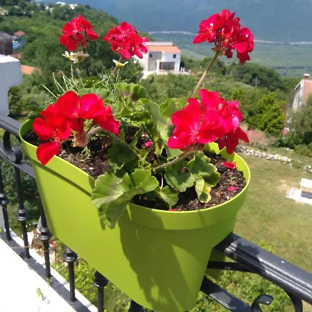 Apartman Andjela *