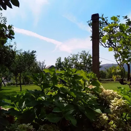 Apartman Andjela